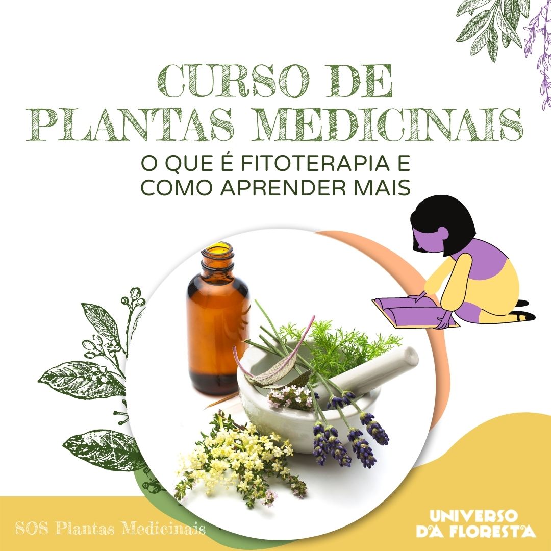 curso de plantas medicinais